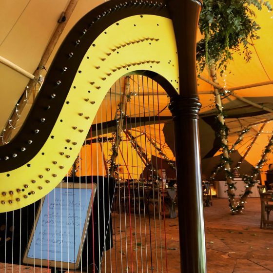 Harp in marquee