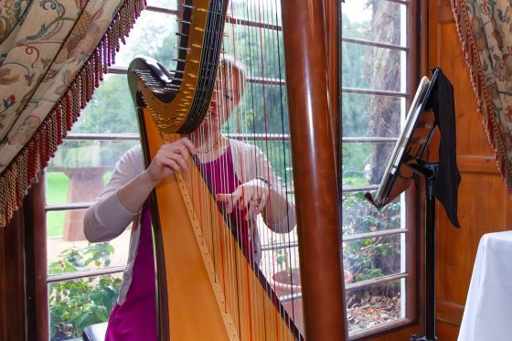Cambridge Harpist