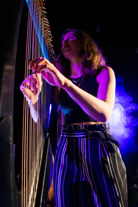 Harpist Ruth - Lincolnshire - Lighting