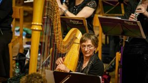 Lincolnshire Harpist for Hire